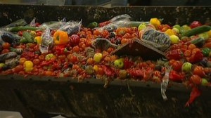240 000 tonnes de nourriture jetées à la poubelle tous les jours en Europe